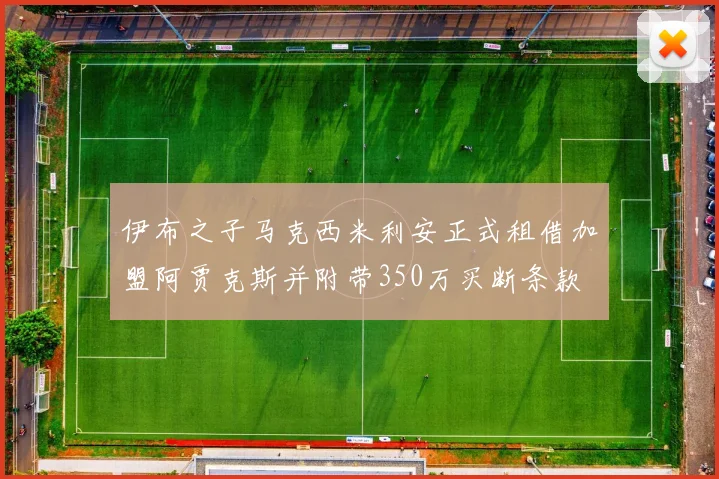 伊布之子马克西米利安正式租借加盟阿贾克斯并附带350万买断条款