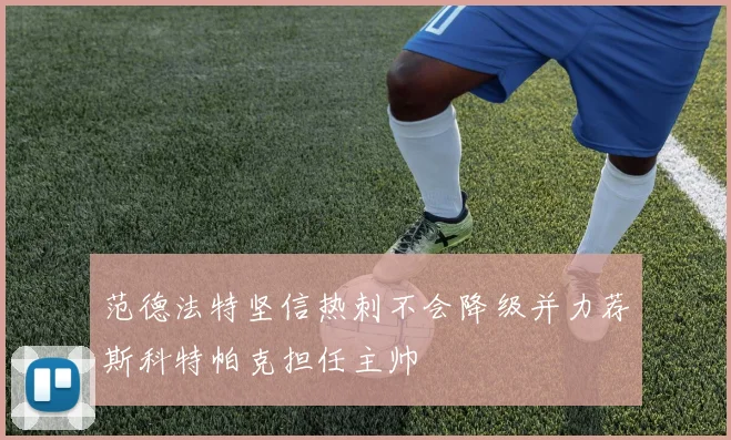 范德法特坚信热刺不会降级并力荐斯科特帕克担任主帅